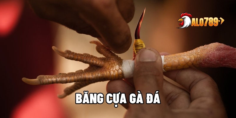 Bí Quyết Băng Cựa Gà Đá Tối Ưu Sát Thương Và Cơ Hội Thắng Cùng ALO789 1 băng cựa gà đá