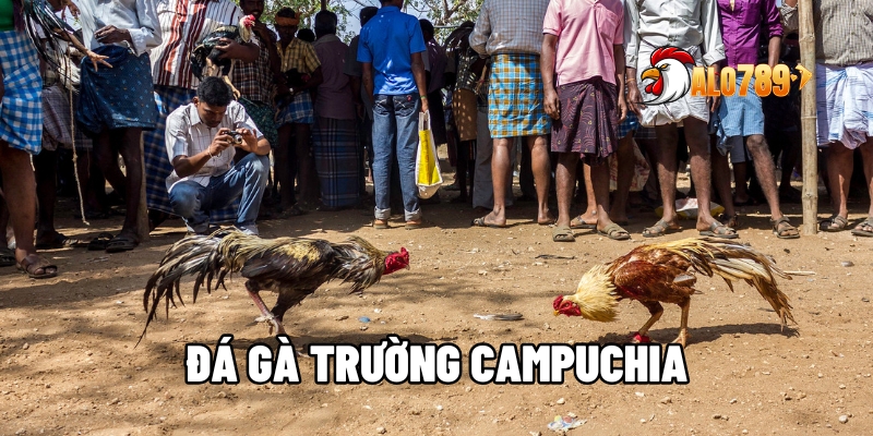 da ga truong campuchia 1